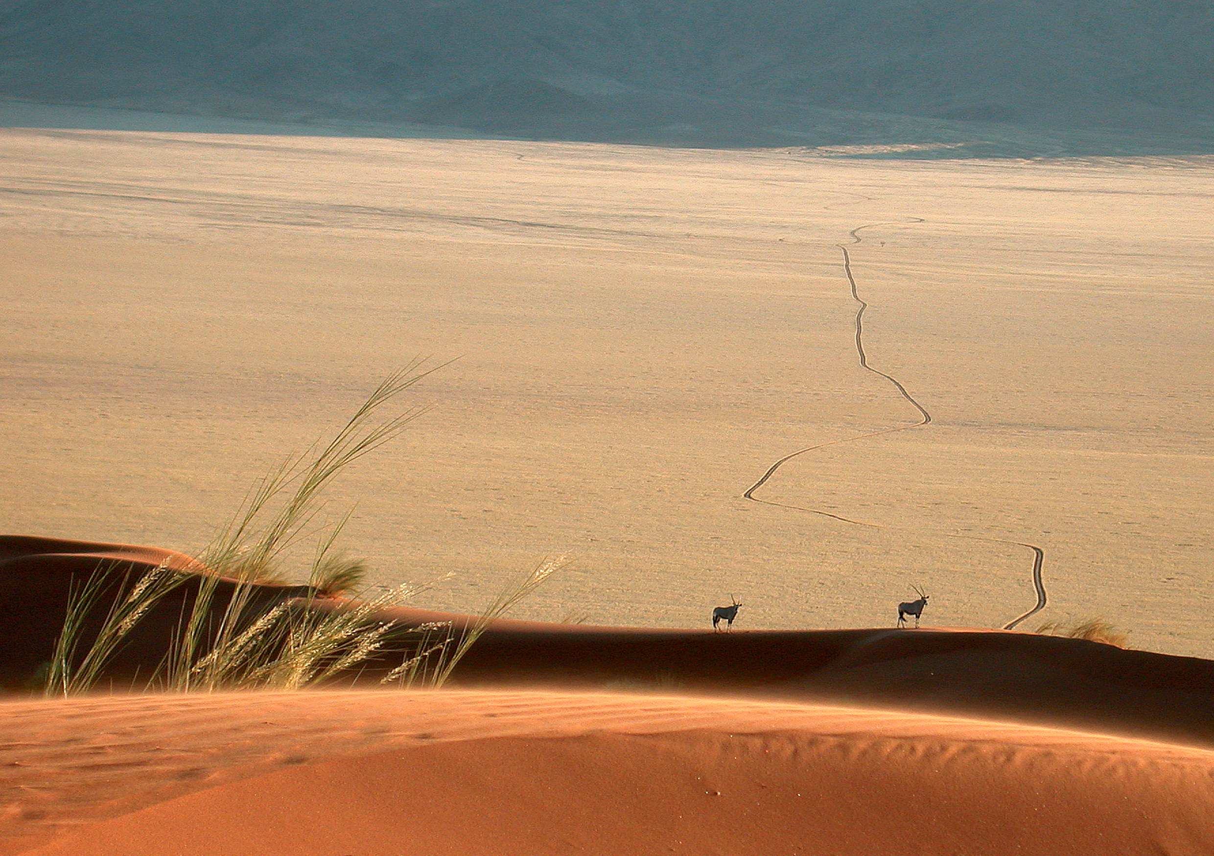 Dune Camp
