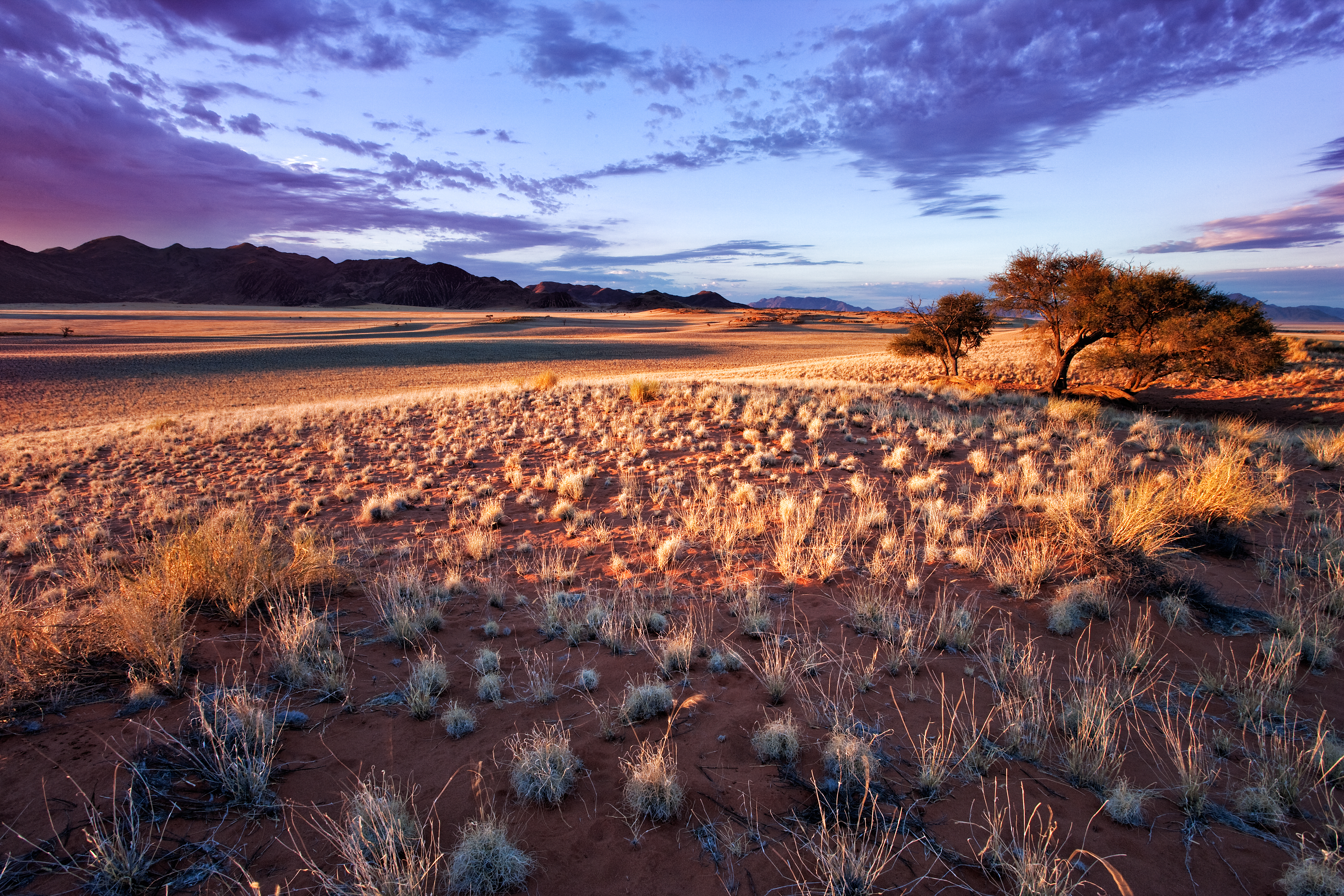 Setting sun lights up unique scenery of south-west Namib desert or pro-Namib. NamibRand Nature Reserve, Namibia